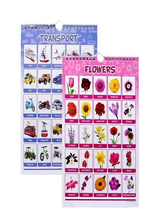 Fully Early Leaning Alphabet Charts for Kids Perfect for Nursery Students - Image 1